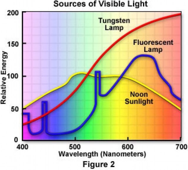 visible wavelengths of light