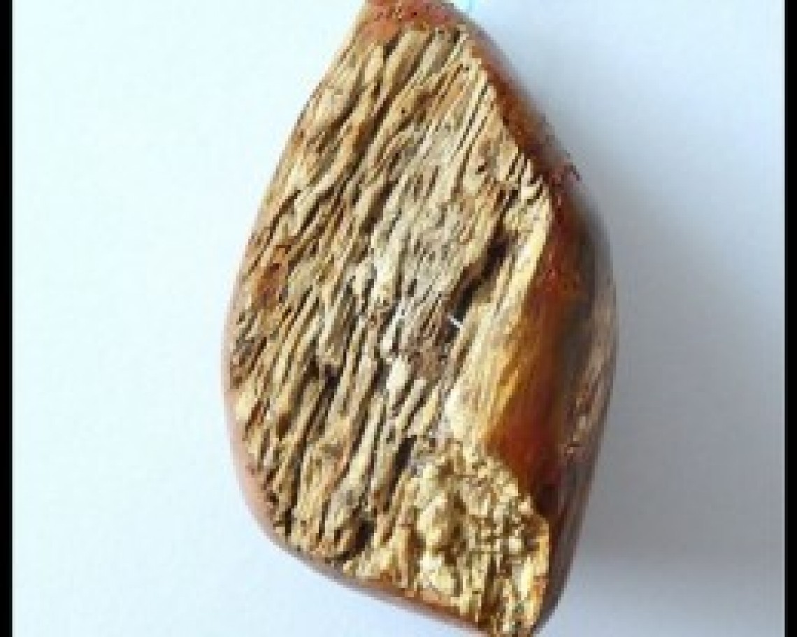 healing stones petrified wood