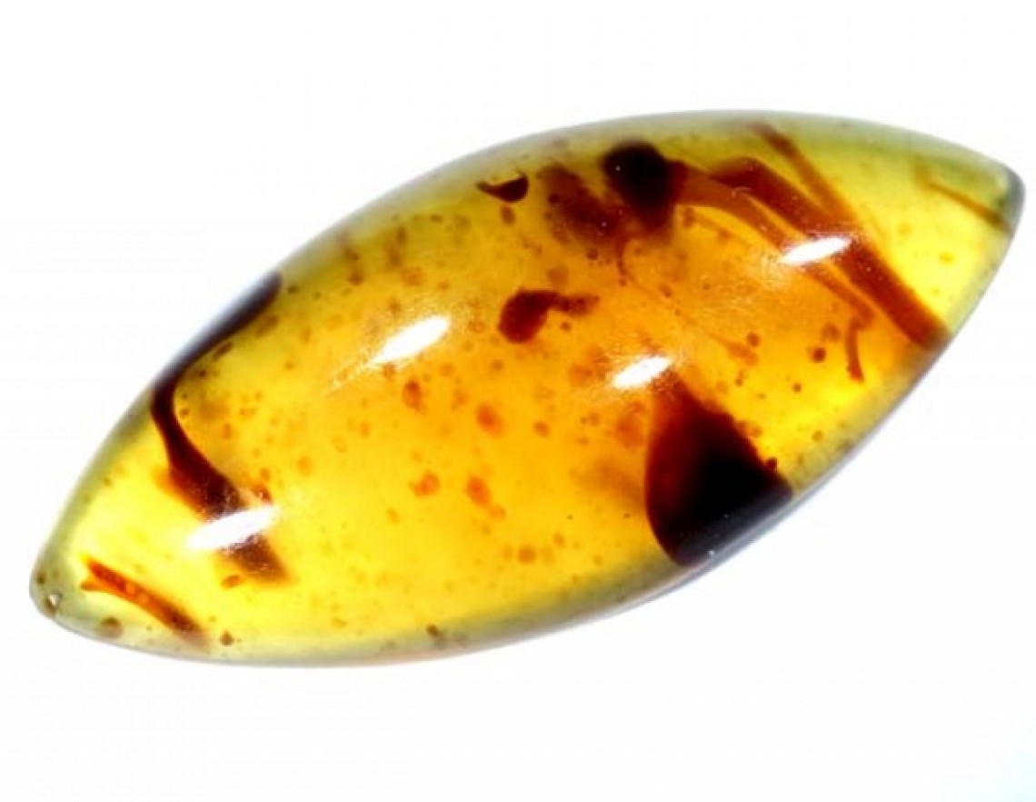 List Of Organic Gemstones - Amber