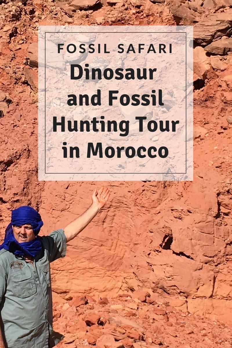 dinosaur fossil safari tour morocco