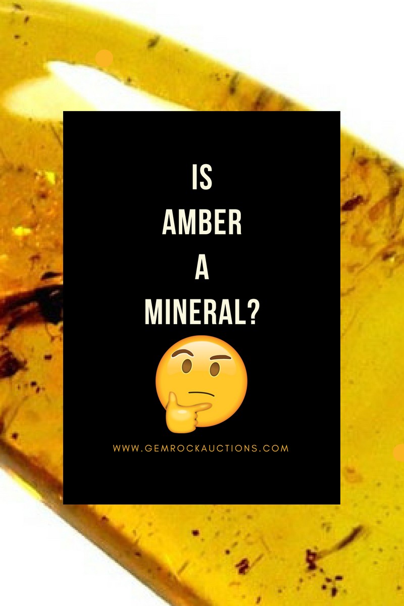 Is Amber a Mineral? If Not, Then What Is It? Gem Rock Auctions