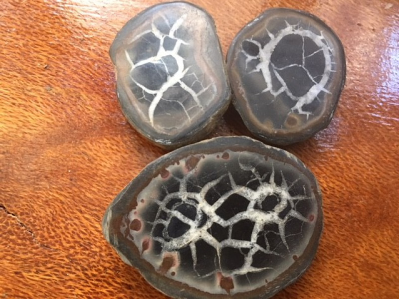 septarian rough nodules