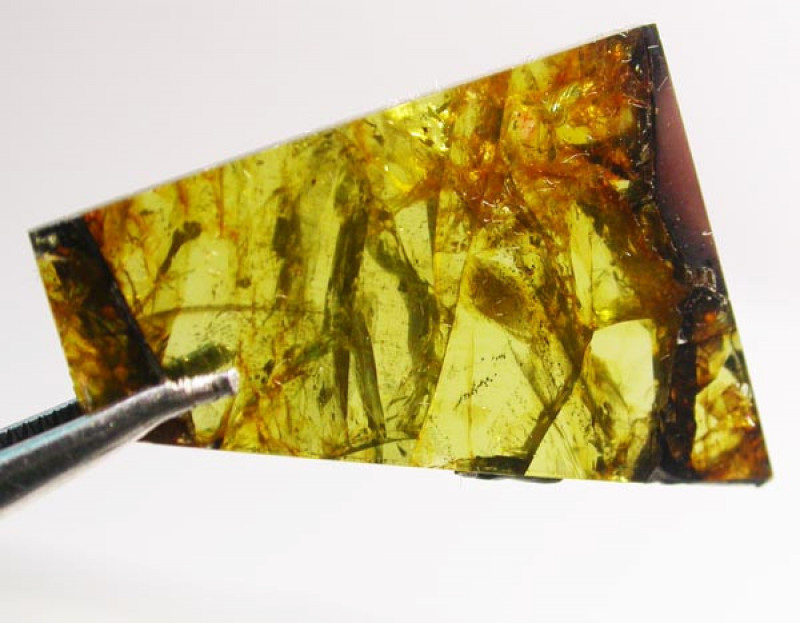 Météorite pallasite ferreuse et pierreuse