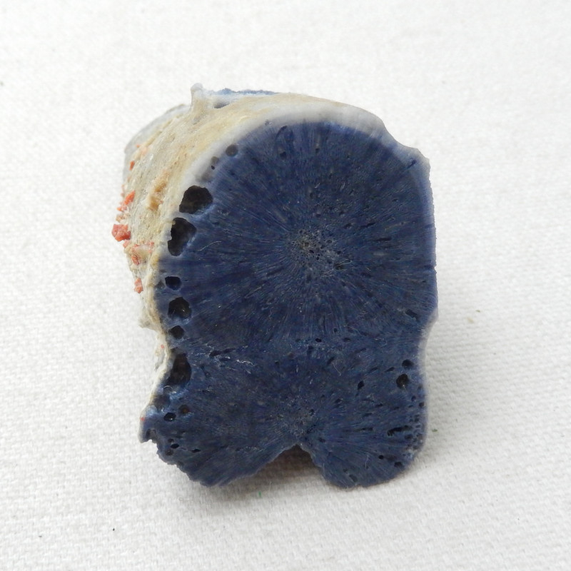 AAA Blue Coral Gemstone Specimen,Blue Coral,Gemstone