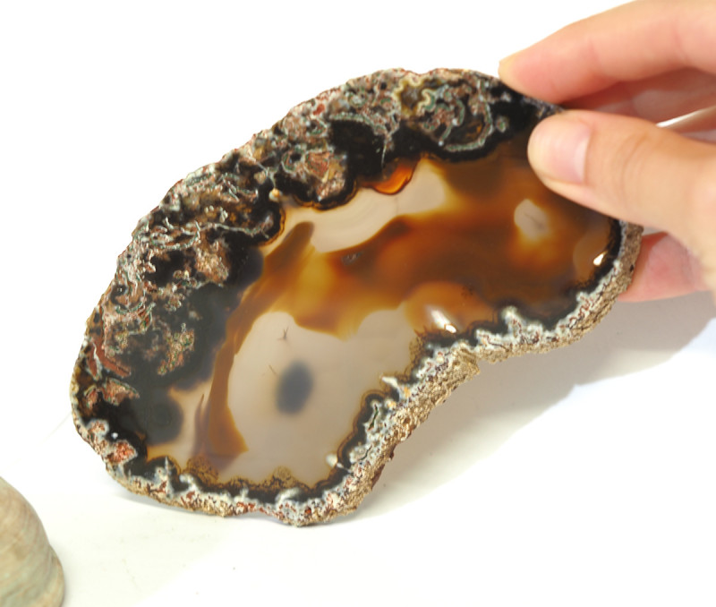 505 Cts Sliced Chatoyant Brazilian Agate Specimen