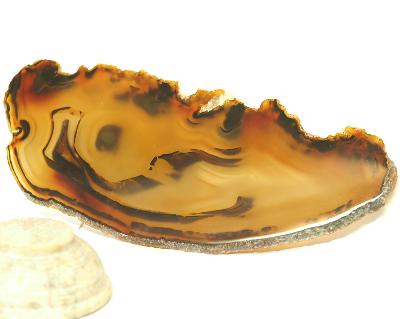 675 Cts Sliced Chatoyant Brazilian Agate Specimen