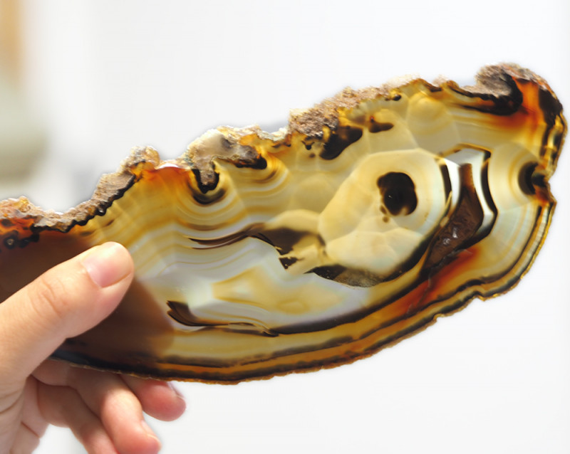 675 Cts Sliced Chatoyant Brazilian Agate Specimen