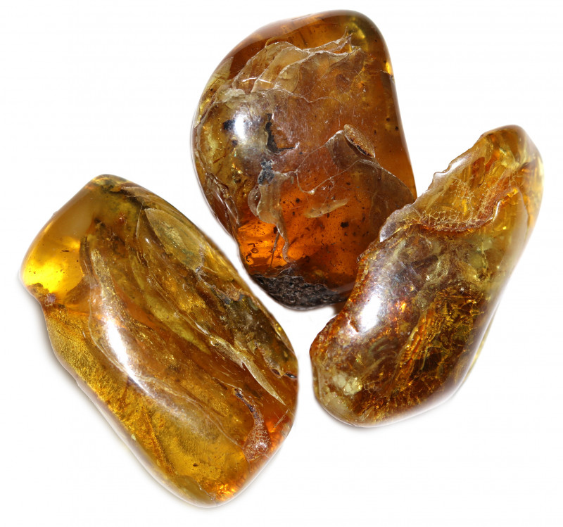 262 Cts Parcel 3 Tumbled Polished Rough Amber AM 1792