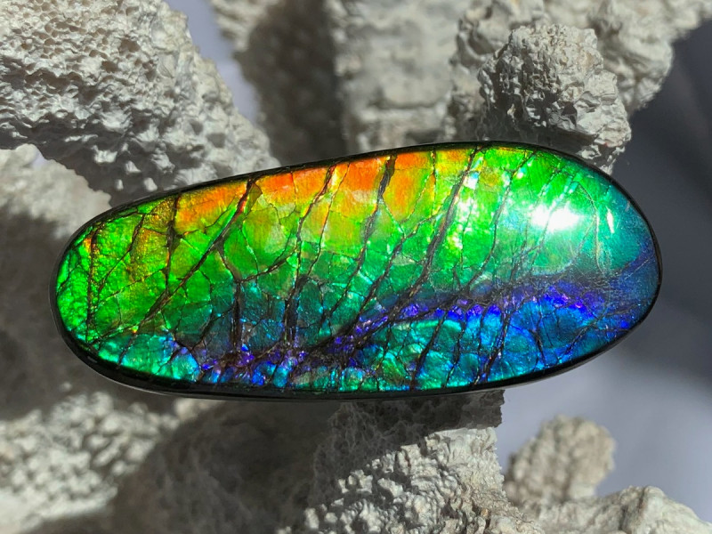 canadian ammolite gemstone faceted