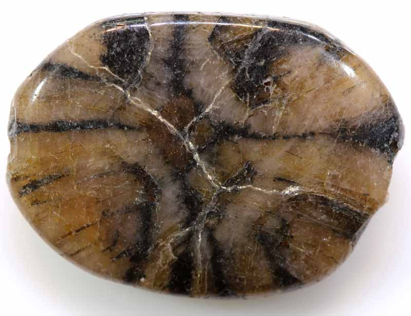 chiastolite andalusite gemstone bead