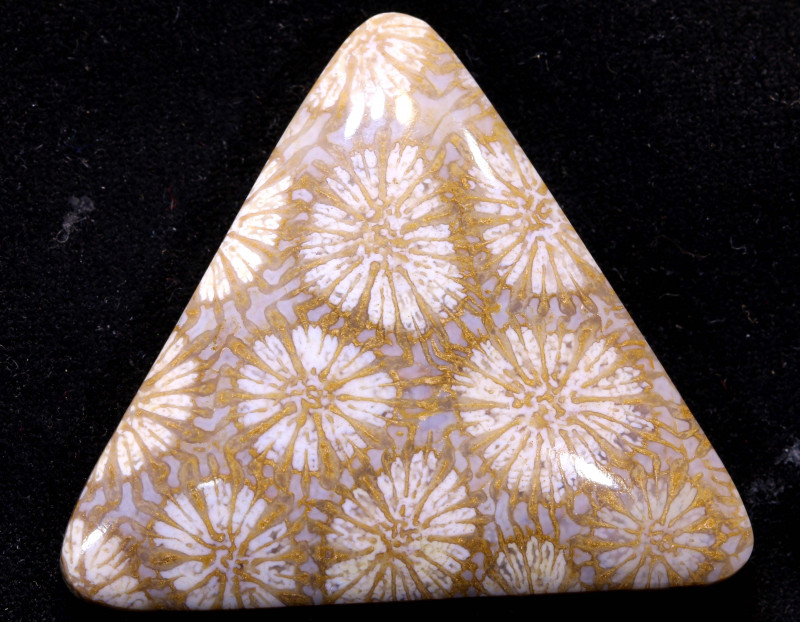 indonesian white coral fossil gemstone cabochon