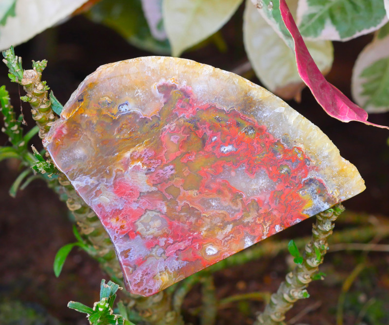 plume agate slab