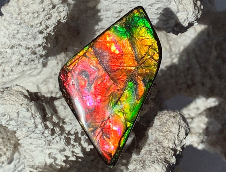 canadian ammolite gemstone cabochon