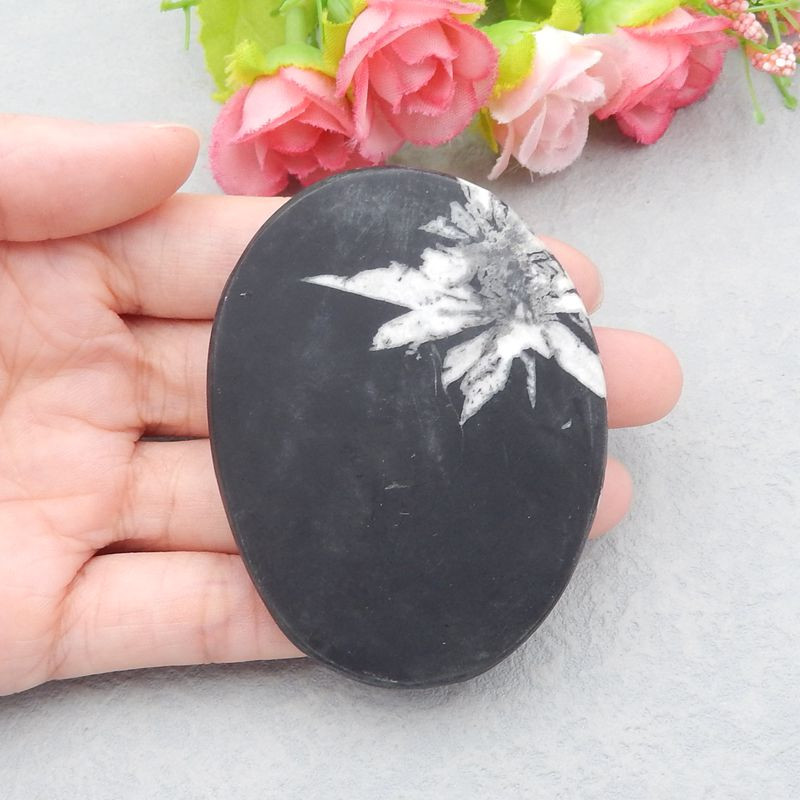 Chrysanthemum stone Gemstone Polished Black Healing Stone (18052313)