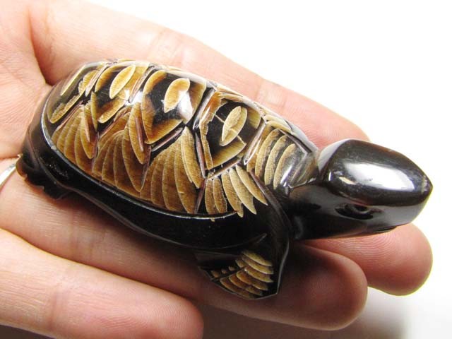 buffalo horn carving of cute turtle 119 cts gtt 1497