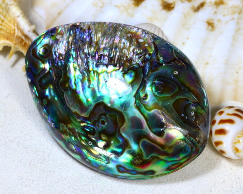Paua Shell 112.10Ct Natural Rainbow Paua Abalone Shell