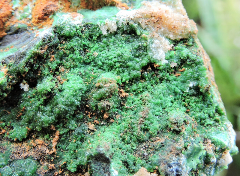 34,92 g CAMPIONE DI ADAMITE CUPRIANO DALLE ANTICHE MINIERE DI LAVRIO GRECIA