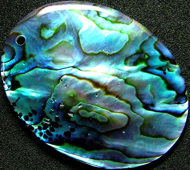 Buy Abalone Online Gem Rock Auctions