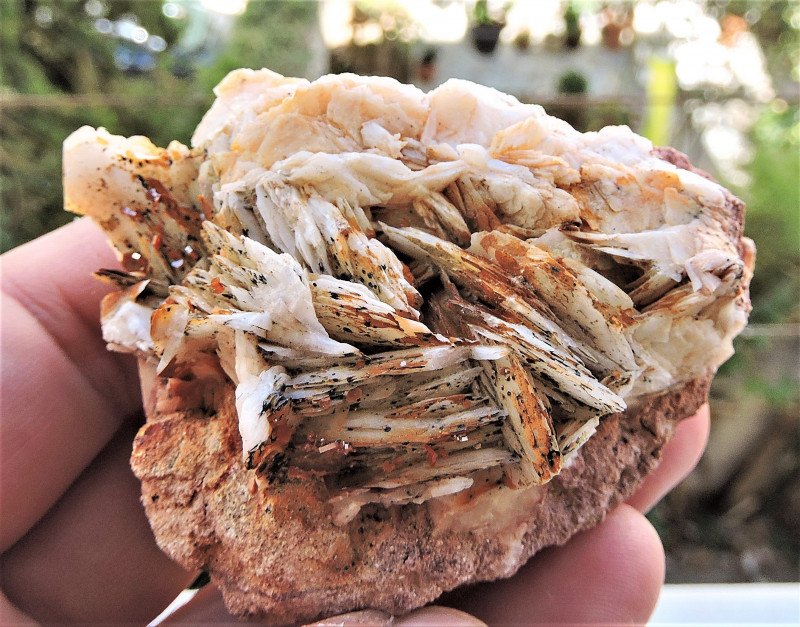 vanadinite rough crystal specimen on barite