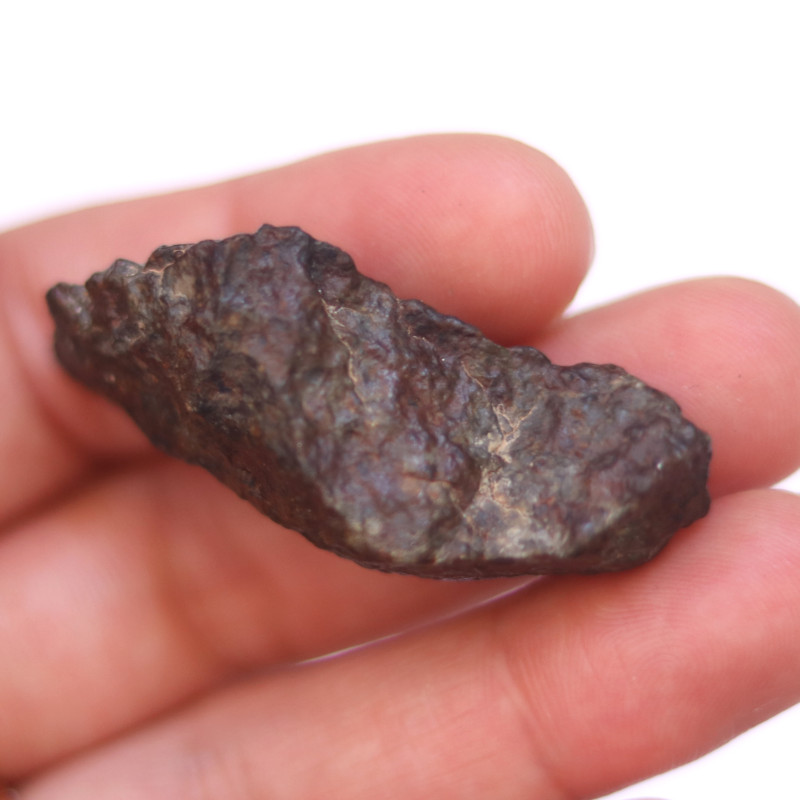 4.65 Billion Old Chondrite Meteorite found in NWA Morocco 20 Grams