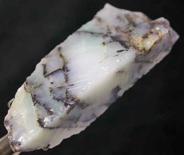 OPAL ROUGH WITH INCLUSIONSCANADA 49.75 CTS [F2564]