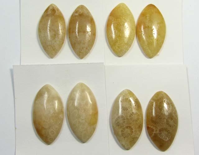 75 CTS PAIRS NATURAL CORAL FOSSIL STONES MS1048