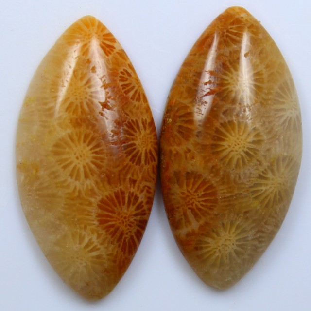 18.90 CTS PAIR OF POLISHED CORAL NATURAL STONES