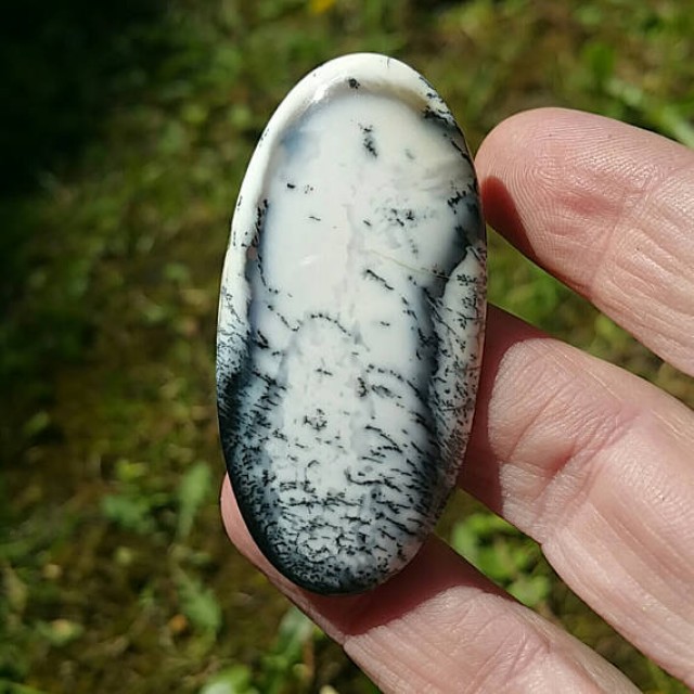 cabochon ovale en agate dendritique