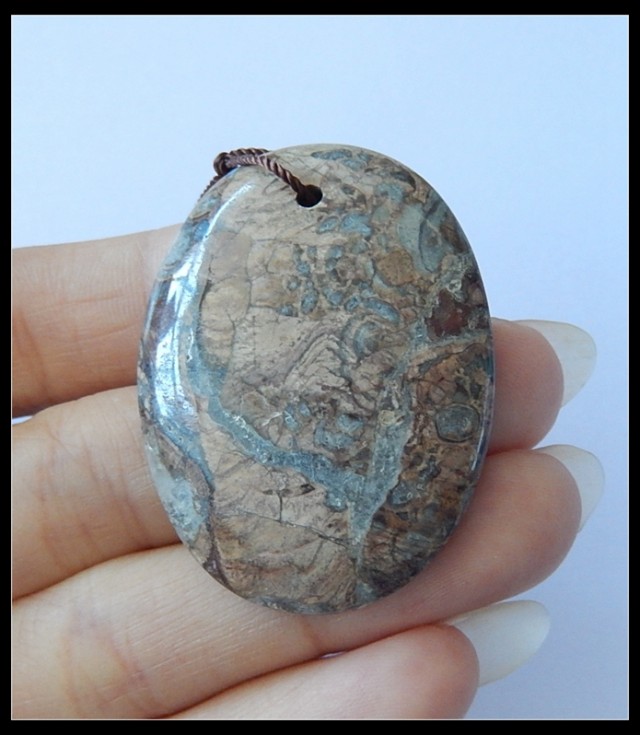 60CT Natural Ammonite Gemstone Pendant Bead