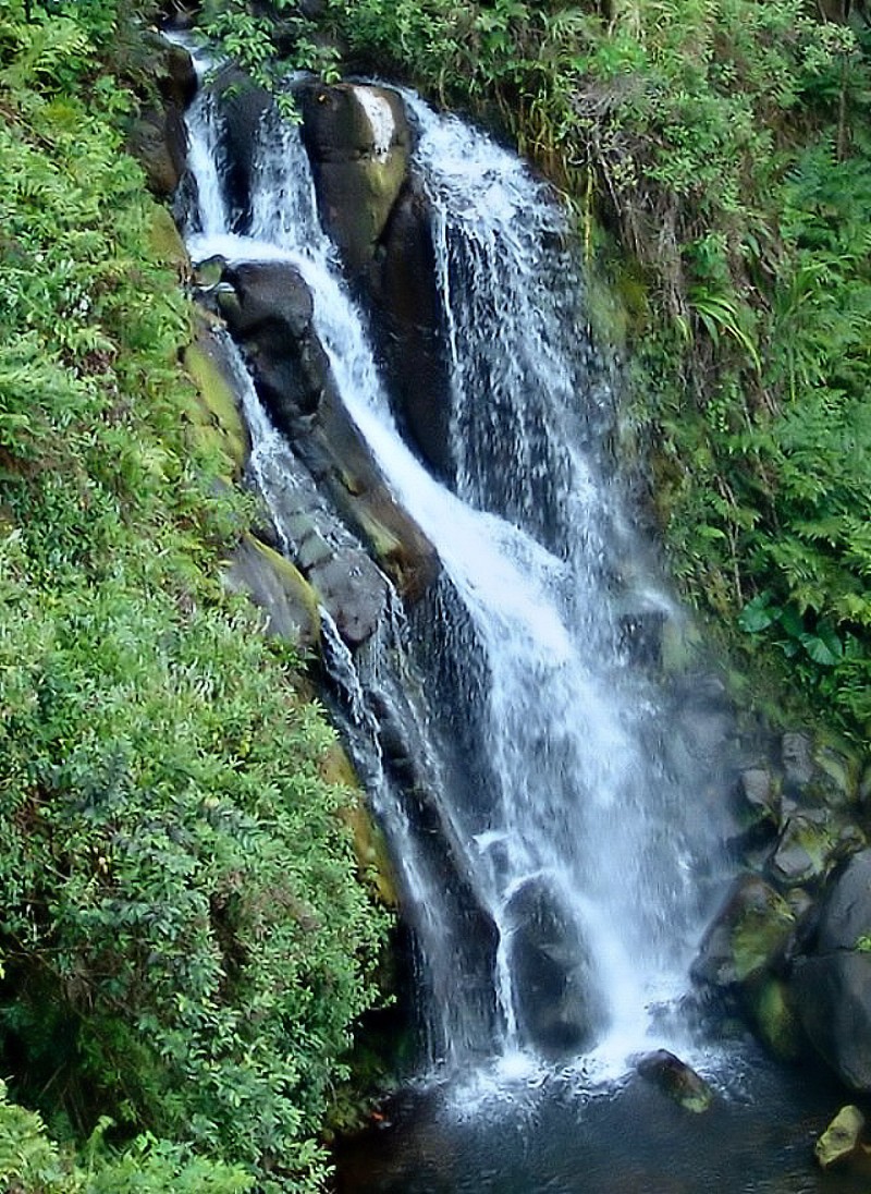 5.33 Carat 12 Rays Black Star Sapphire - Superb