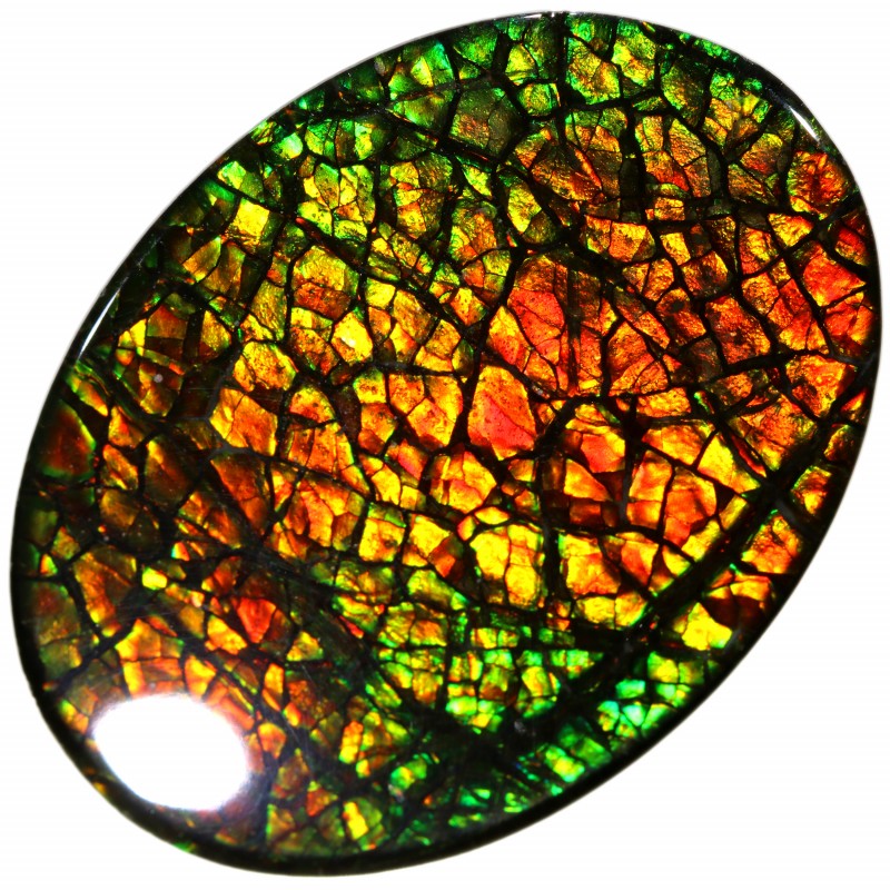 canadian ammolite gemstone mineraloid