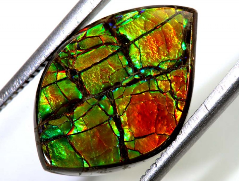 Ammolite | About the Stone, Benefits, and Jewellery