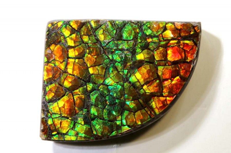 multicolor canadian ammolite gemstone