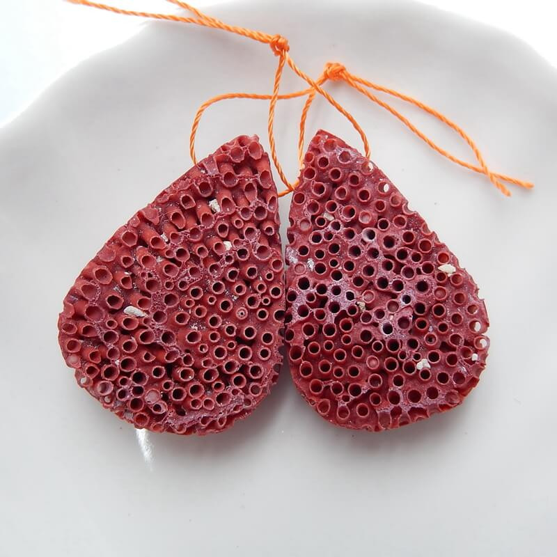 Natural Coral Gemstone Earring