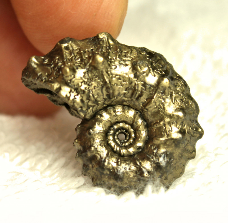 Very rare Ammonite geode with silver pyrite cabochon from Russia 39\u044531\u04455 mm