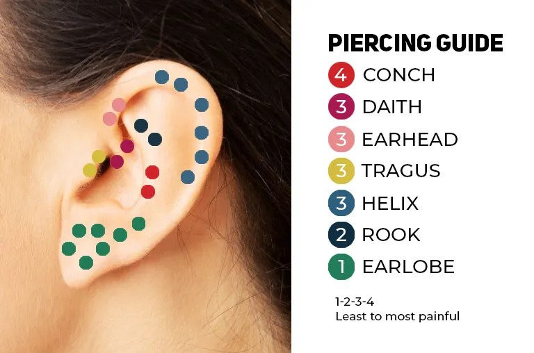 Ear Piercing Pain Diagram