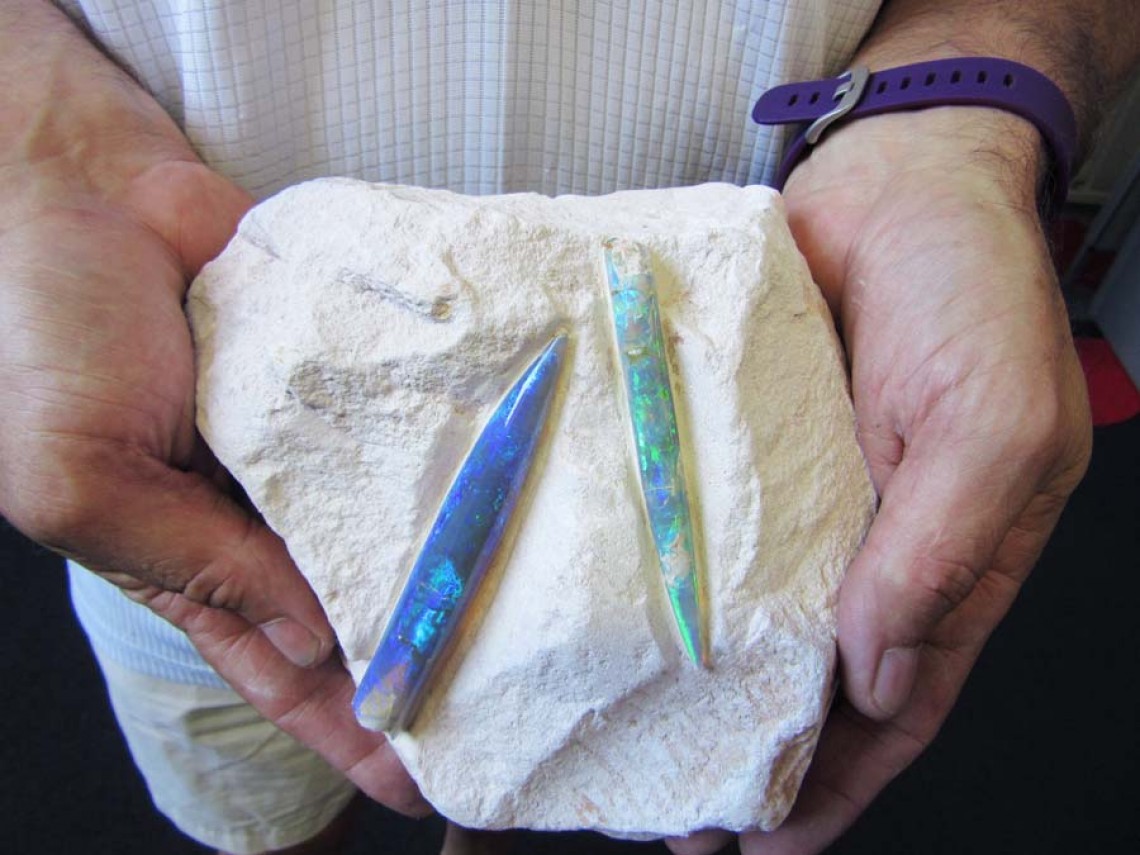 opalized belemnites from Seda opals