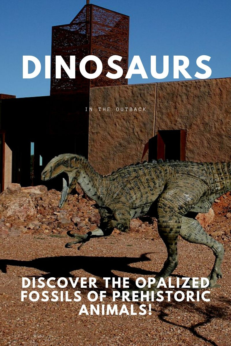 Discover The Opalized Fossils Of Prehistoric Animals