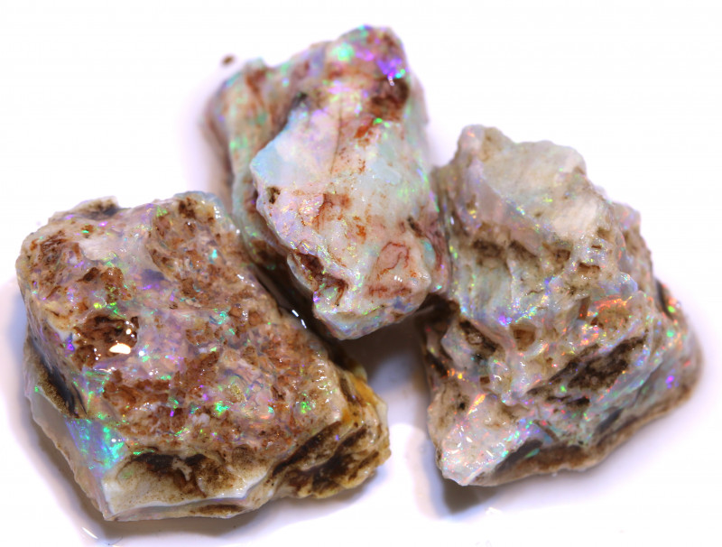 opalized fossil parcel