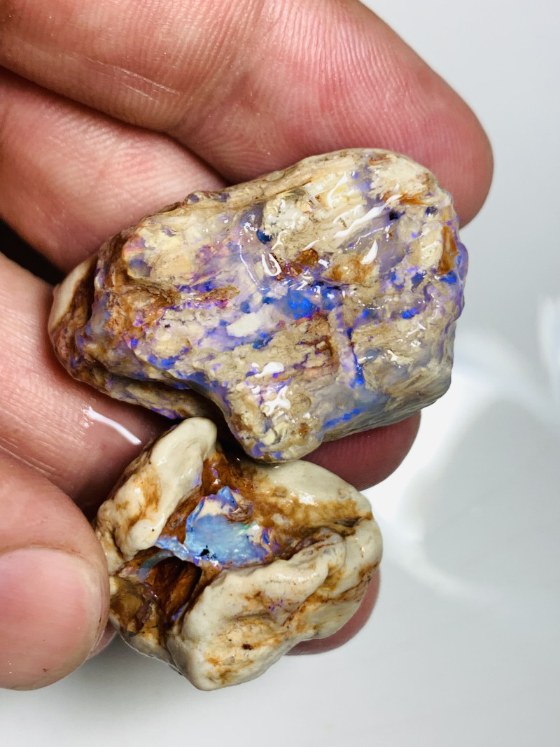 Stunning Opal Fossils of Lightning Ridge For Your