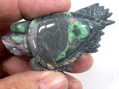 opal turtle