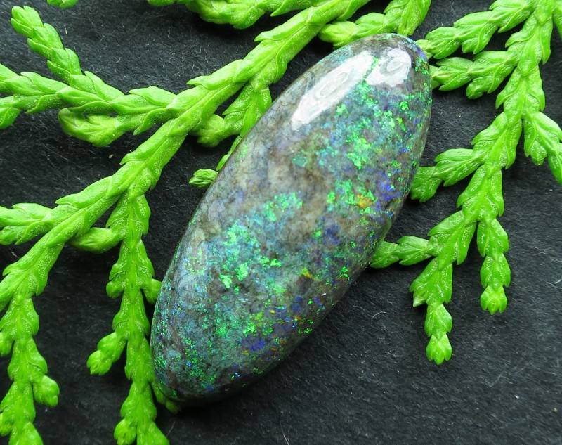 8cts,"ANDAMOOKA MATRIX OPALUNBEATABLE VALUE"