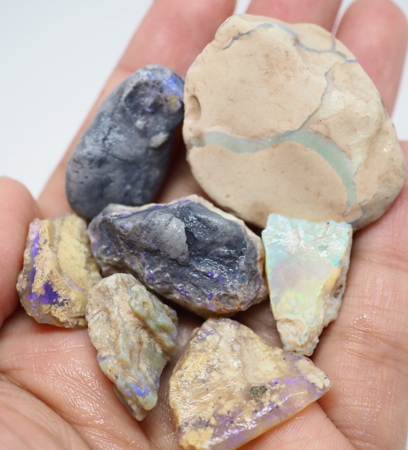 144.30CT OPALLITE FOSSIL FROM LIGHTNING RIDGE OI553