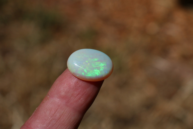 12 CT Andamooka Opal