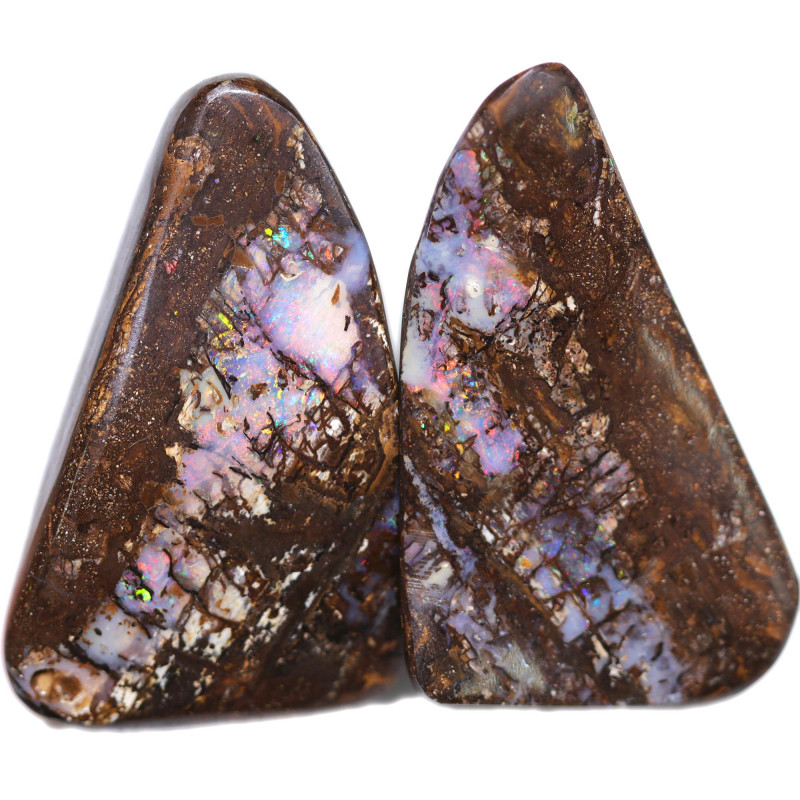 boulder opal wood fossil specimen