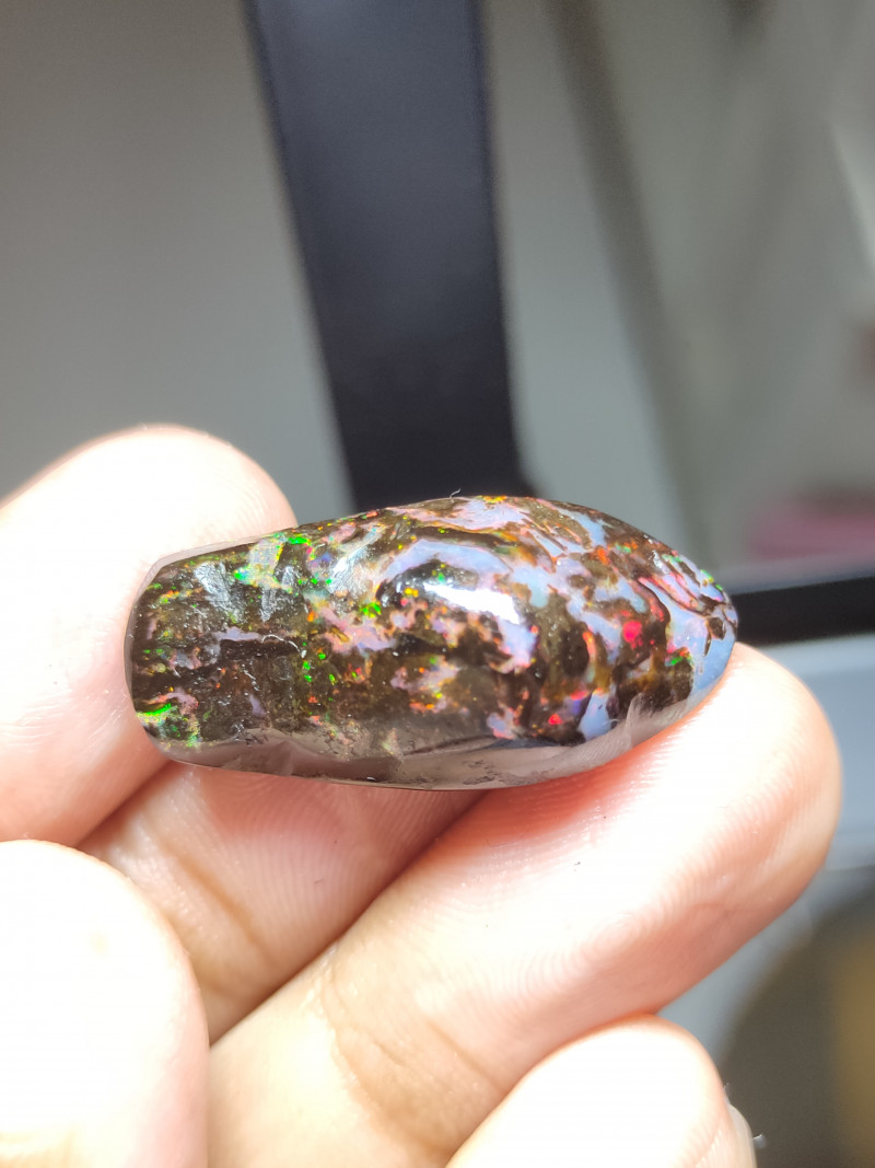 STUNING 5/5 INDONESIAN WOOD FOSSIL SPECIMEN. Cek video