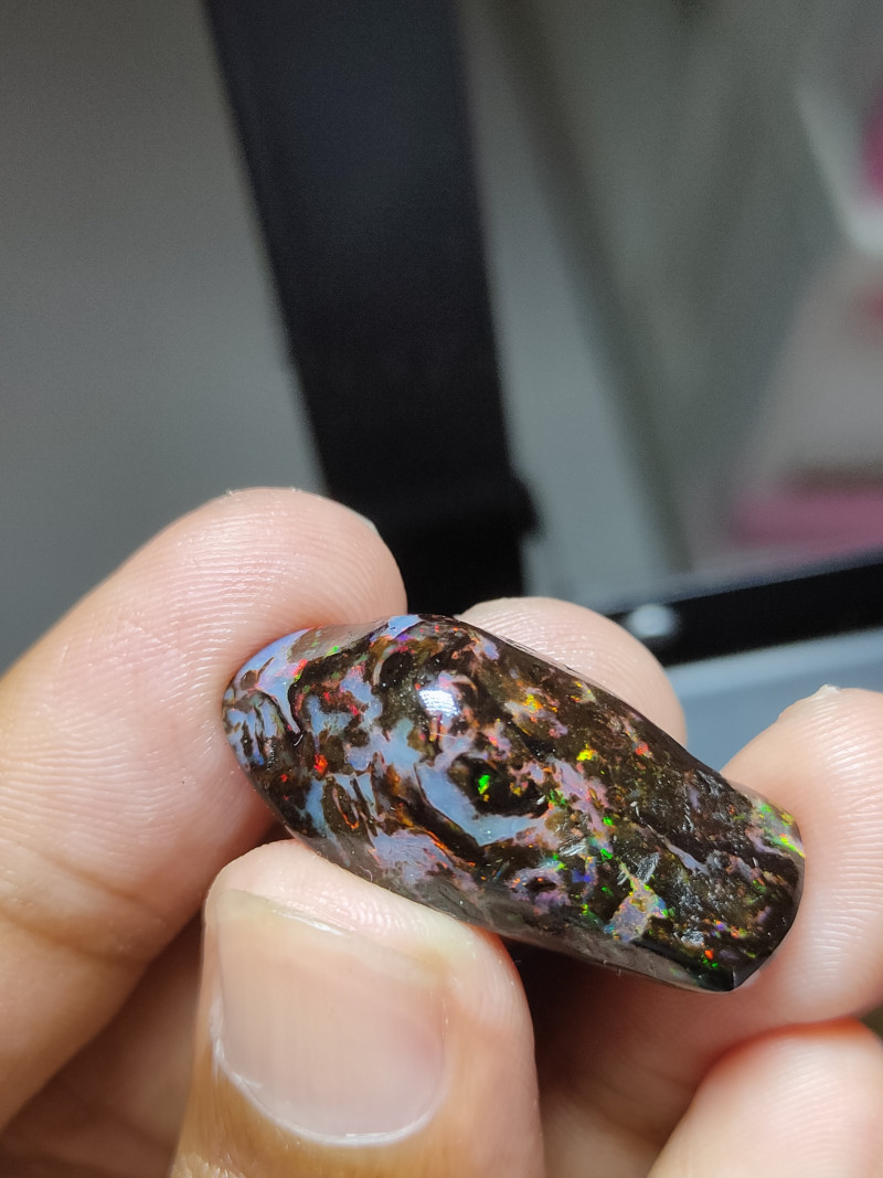 STUNING 5/5 INDONESIAN WOOD FOSSIL SPECIMEN. Cek video